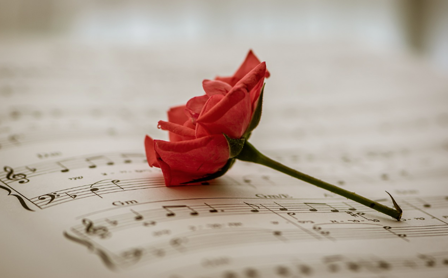 music and rose